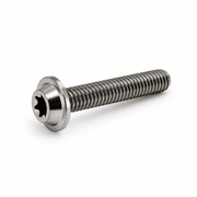 TiHex titanium Low-Profile Torx bout M6
