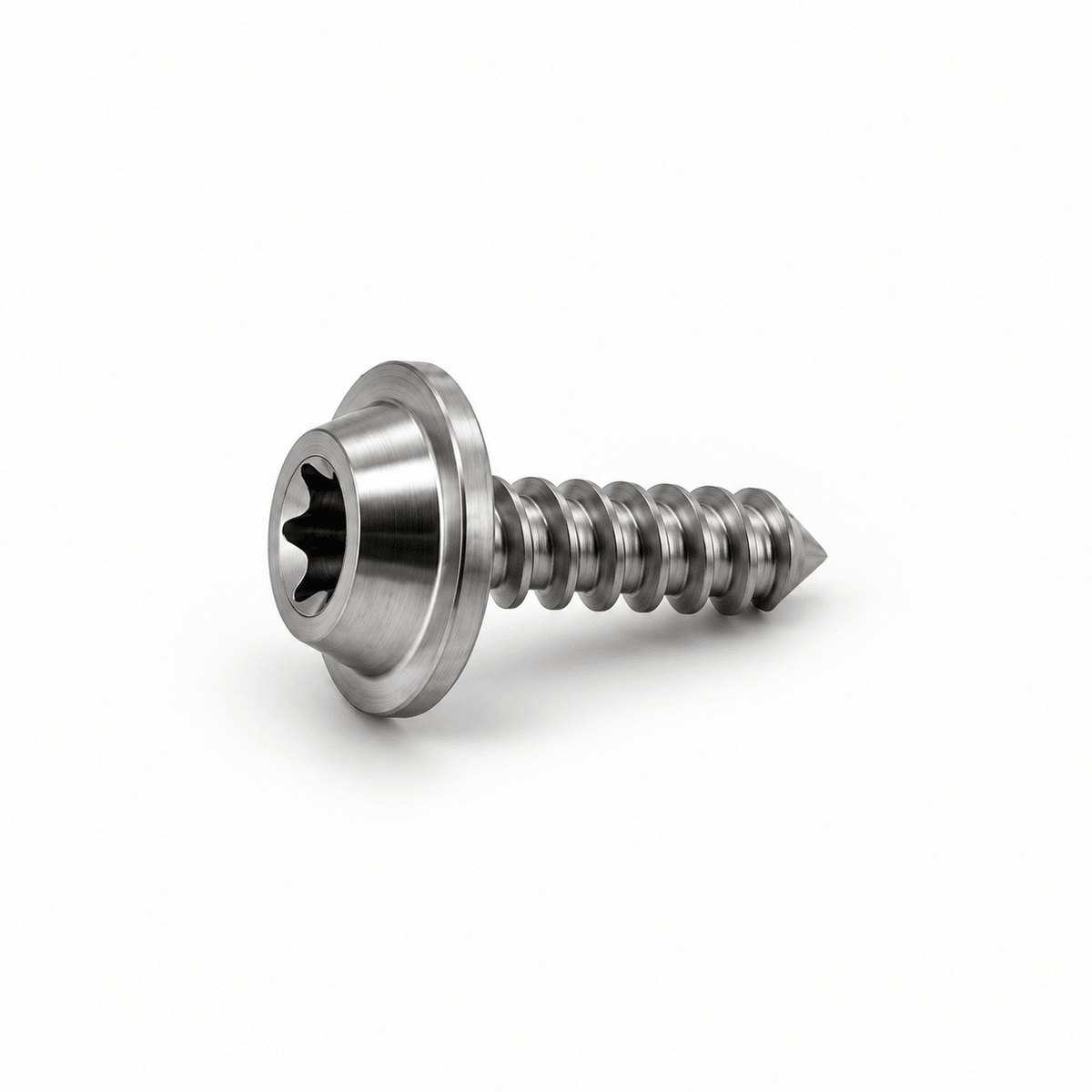 TiHex titanium zelftappende Torx schroef